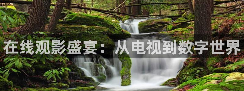第七影院神馬在線觀看：在線觀影盛宴：從電視到數字世界