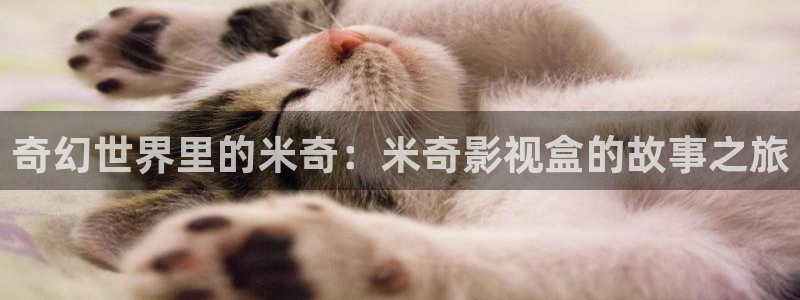 第七影院神馬影院：奇幻世界里的米奇：米奇影視盒的故事之旅