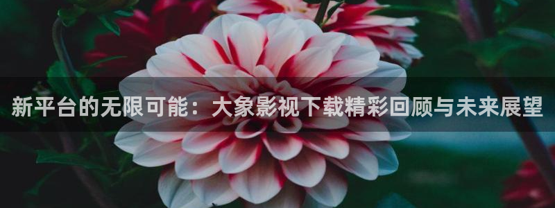 第七影院第六影院：新平臺的無限可能：大象影視下載精彩回顧與未來展望