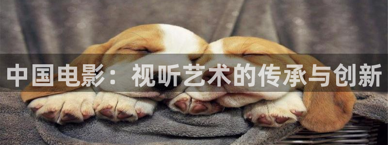 第七影院第一影院：中國電影：視聽藝術的傳承與創新