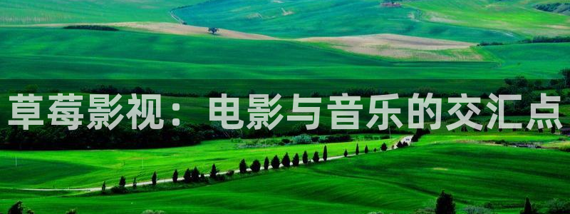 第七電影院官網(wǎng)：草莓影視：電影與音樂(lè)的交匯點(diǎn)