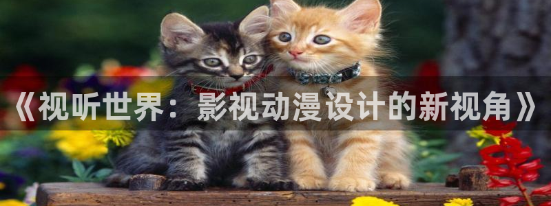 第七影院神馬影院：《視聽世界：影視動漫設計的新視角》