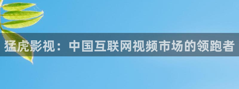 花花影院第七電影：猛虎影視：中國互聯網視頻市場的領跑者