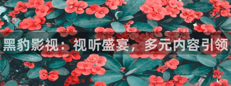 神馬影院花花第七：黑豹影視：視聽盛宴，多元內(nèi)容引領(lǐng)